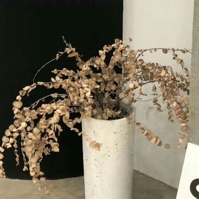 兽设沙漠场景绘制福瑞交流群